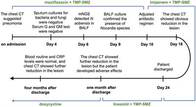 Case report: Metagenomic next-generation sequencing for the diagnosis of rare Nocardia aobensis infection in a patient with immune thrombocytopenia